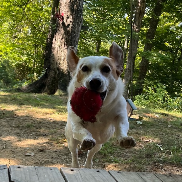 Meet your Posher, Jeanie - Picture 13 of 16